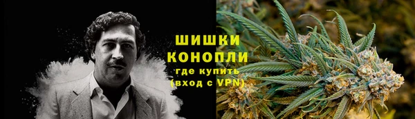 первитин Богданович