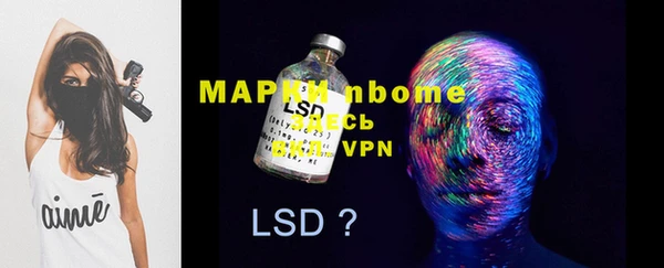 ECSTASY Белокуриха