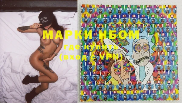 ECSTASY Белокуриха