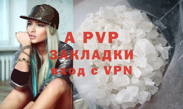 ECSTASY Белокуриха