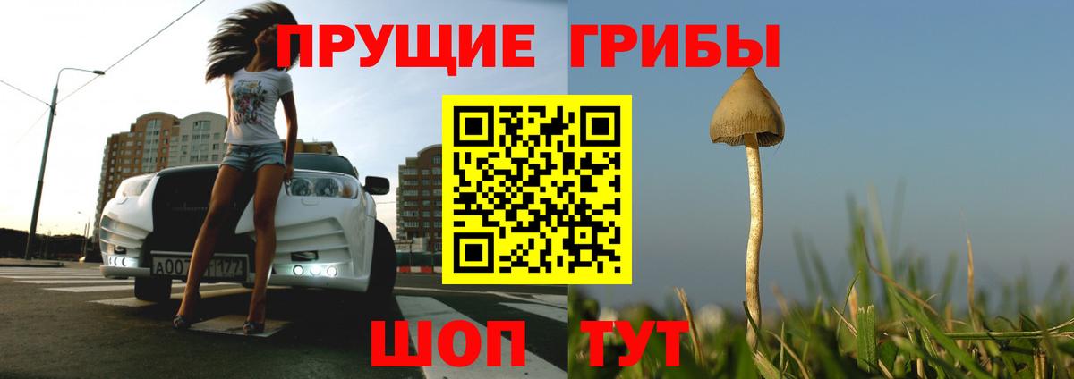 Валуйки  Псилоцибиновые грибы GOLDEN TEACHER  купить наркотик  Вход с VPN  Галлюциногенные грибы Psilocybe 